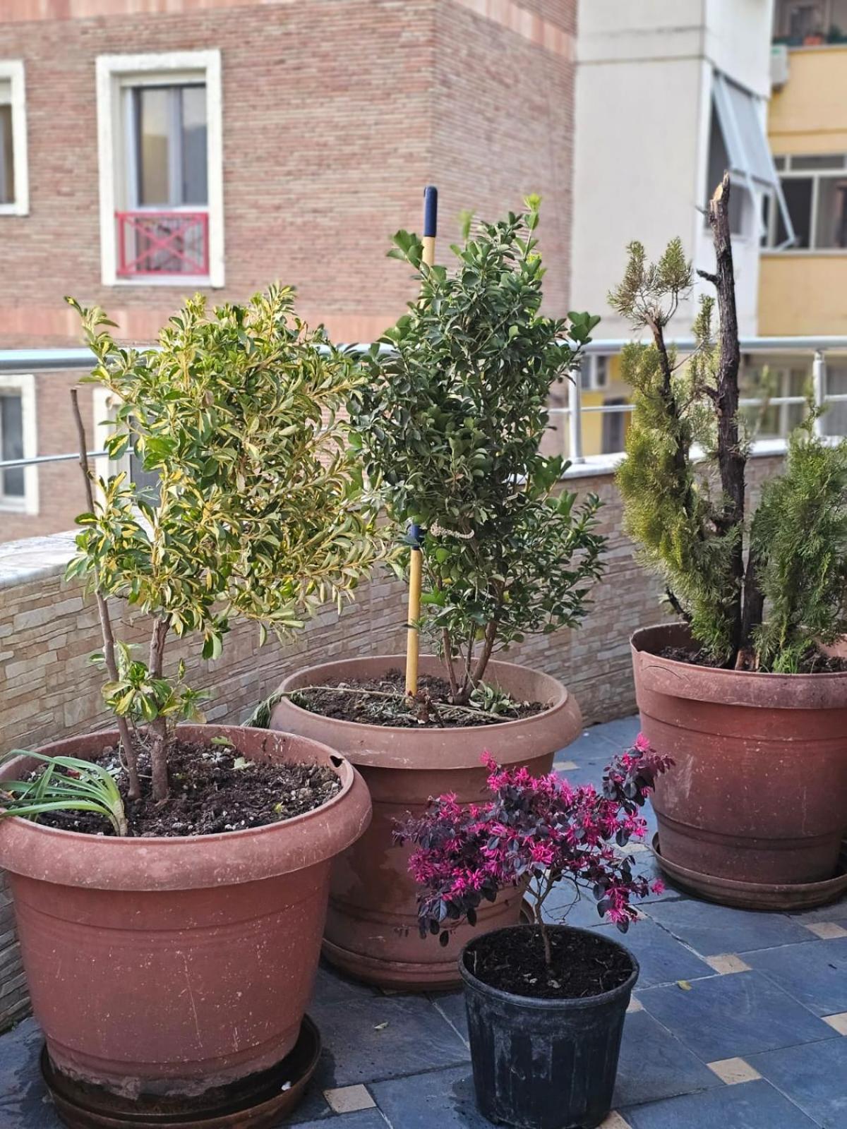 Main Apartment Τίρανα Εξωτερικό φωτογραφία