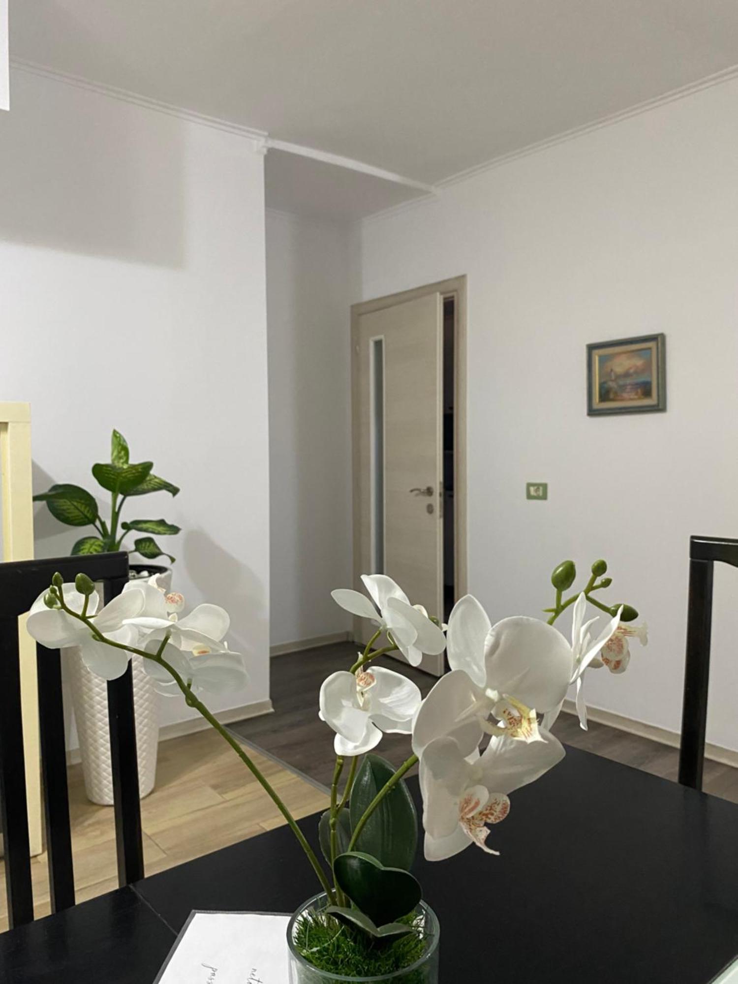 Main Apartment Τίρανα Εξωτερικό φωτογραφία