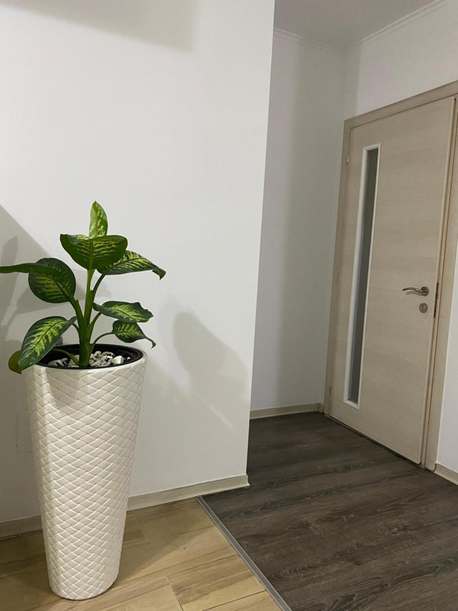 Main Apartment Τίρανα Εξωτερικό φωτογραφία